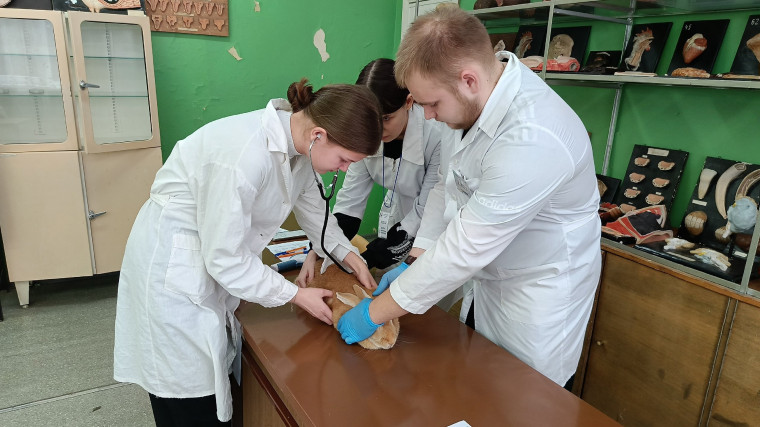 Конкурс профмастерства "Профессионалы".